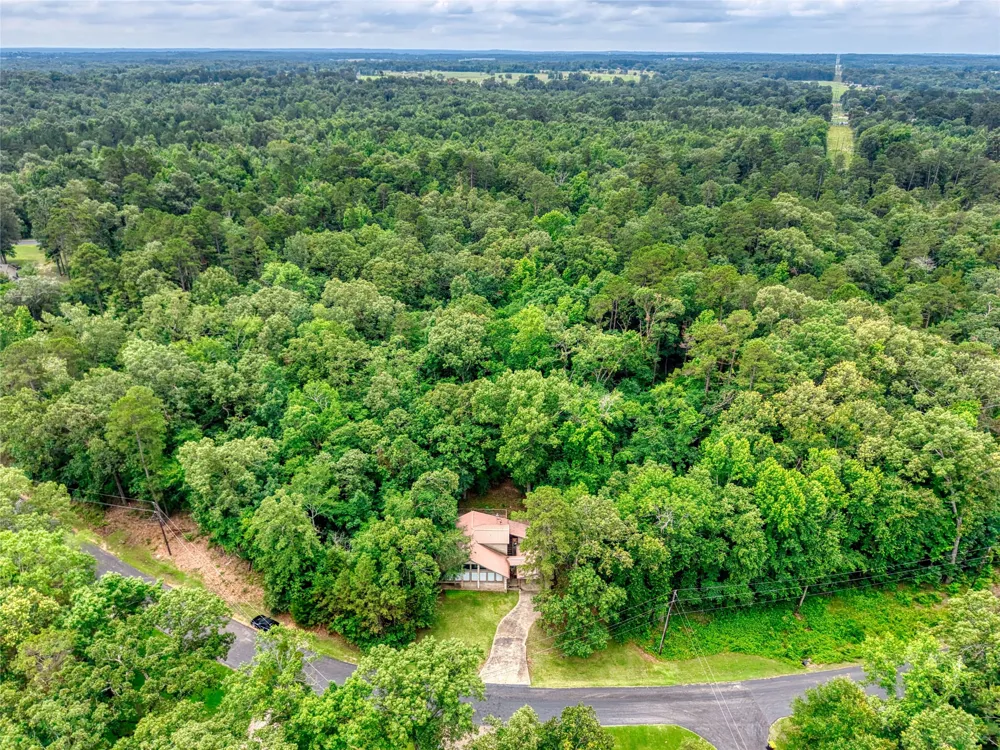 1508 Canadian Drive Scroggins, TX 75480