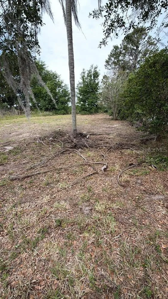1370 SE 20TH TERRACE Bushnell, FL 33513