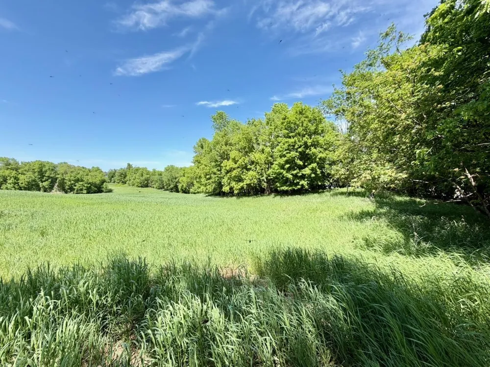 44662 County Highway 31 Pelican Rapids, MN 56572