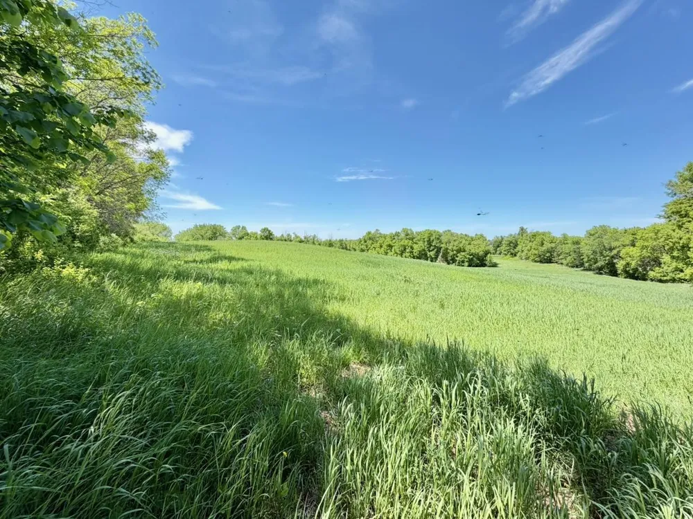 44662 County Highway 31 Pelican Rapids, MN 56572