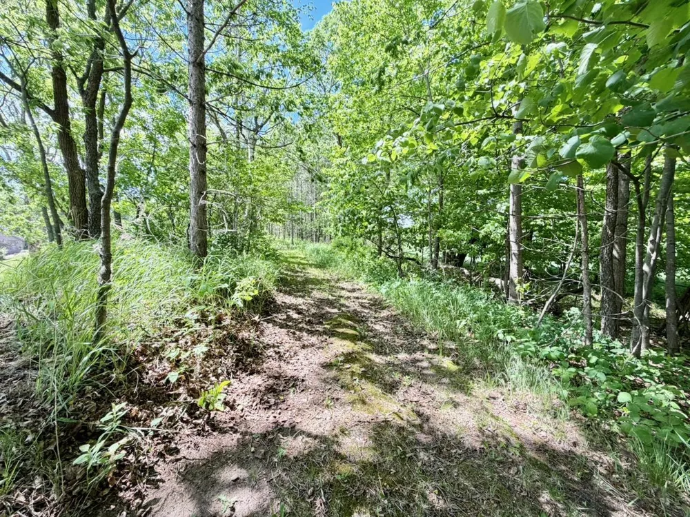 44662 County Highway 31 Pelican Rapids, MN 56572
