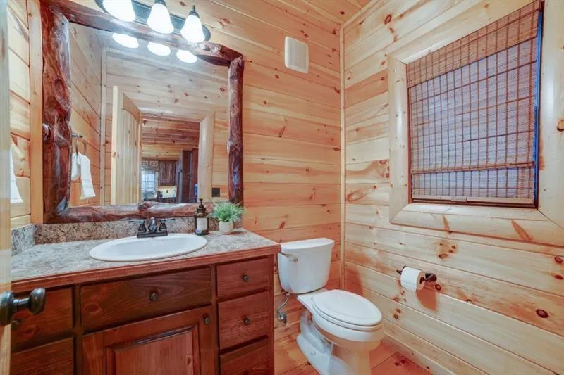 138 Lucius Lane Cherry Log, GA 30522
