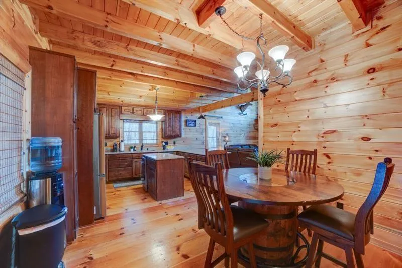 138 Lucius Lane Cherry Log, GA 30522