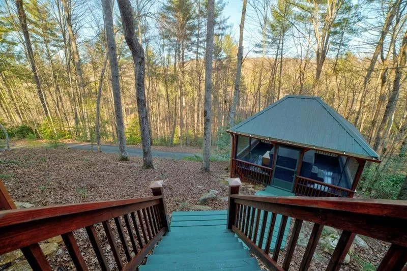 138 Lucius Lane Cherry Log, GA 30522