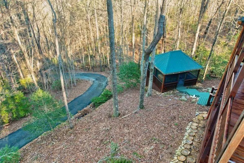 138 Lucius Lane Cherry Log, GA 30522