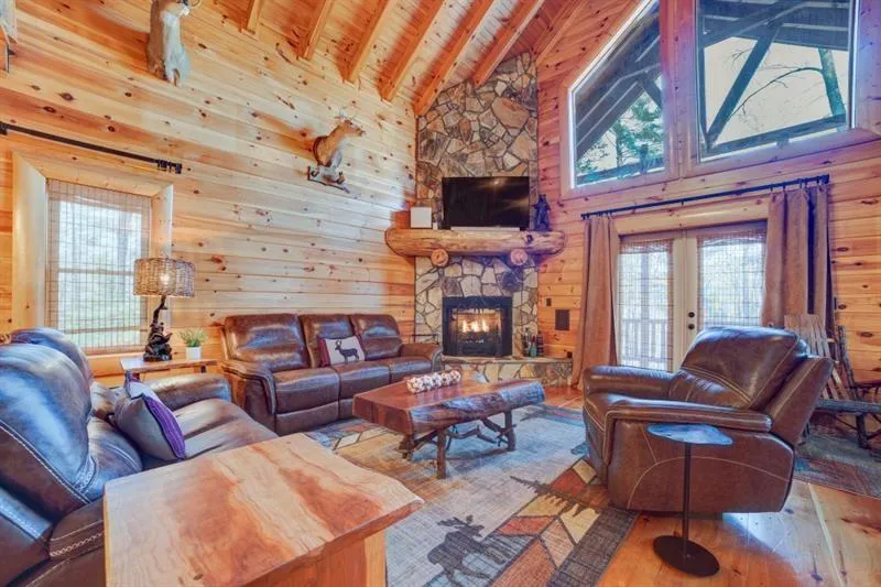 138 Lucius Lane Cherry Log, GA 30522