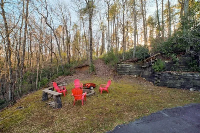 138 Lucius Lane Cherry Log, GA 30522
