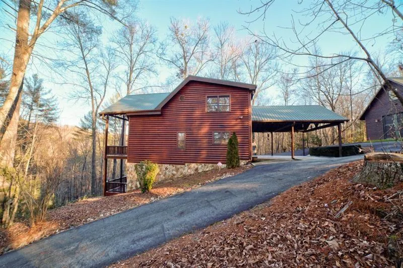 138 Lucius Lane Cherry Log, GA 30522