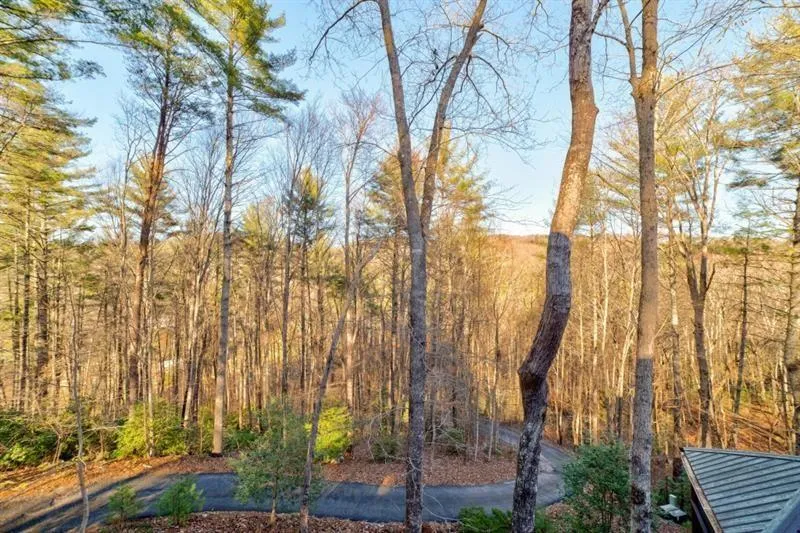 138 Lucius Lane Cherry Log, GA 30522