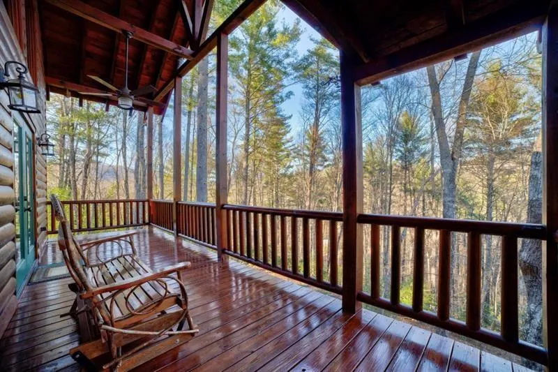 138 Lucius Lane Cherry Log, GA 30522