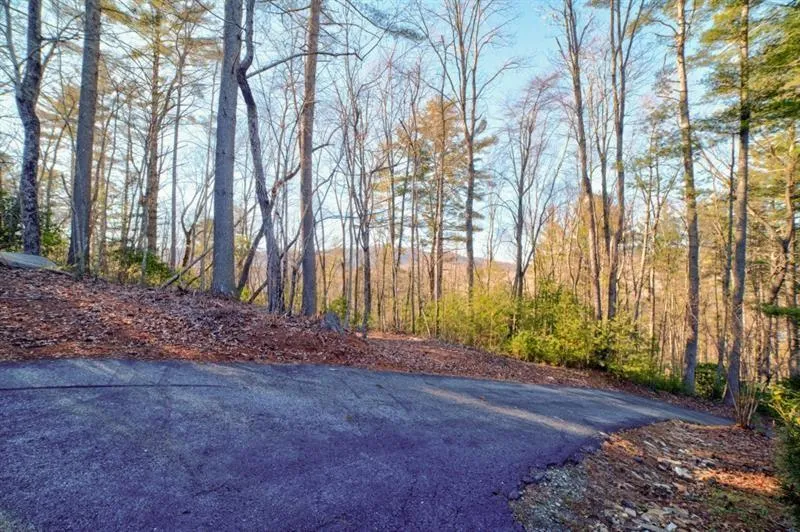 138 Lucius Lane Cherry Log, GA 30522