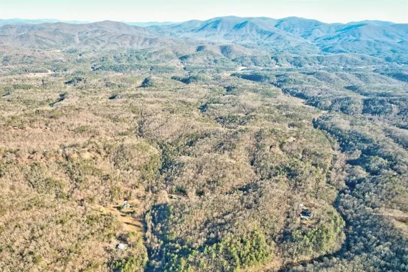 138 Lucius Lane Cherry Log, GA 30522