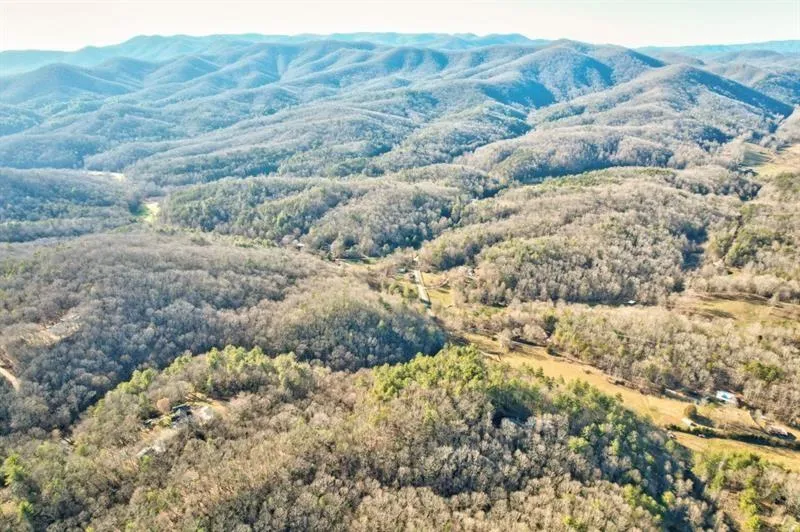 138 Lucius Lane Cherry Log, GA 30522