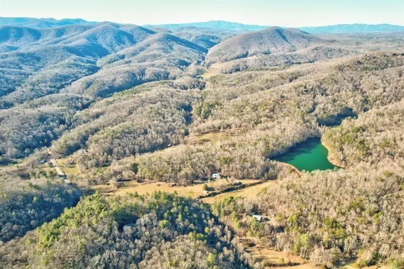 138 Lucius Lane Cherry Log, GA 30522