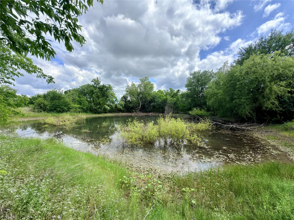 9326 NW County Road 1343 Blooming Grove, TX 76626