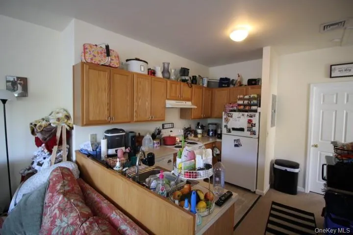 5 Timberwolf Road #10-68 Liberty, NY 12754