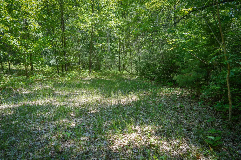 14308 Church Road Winfield Township, MI 49329