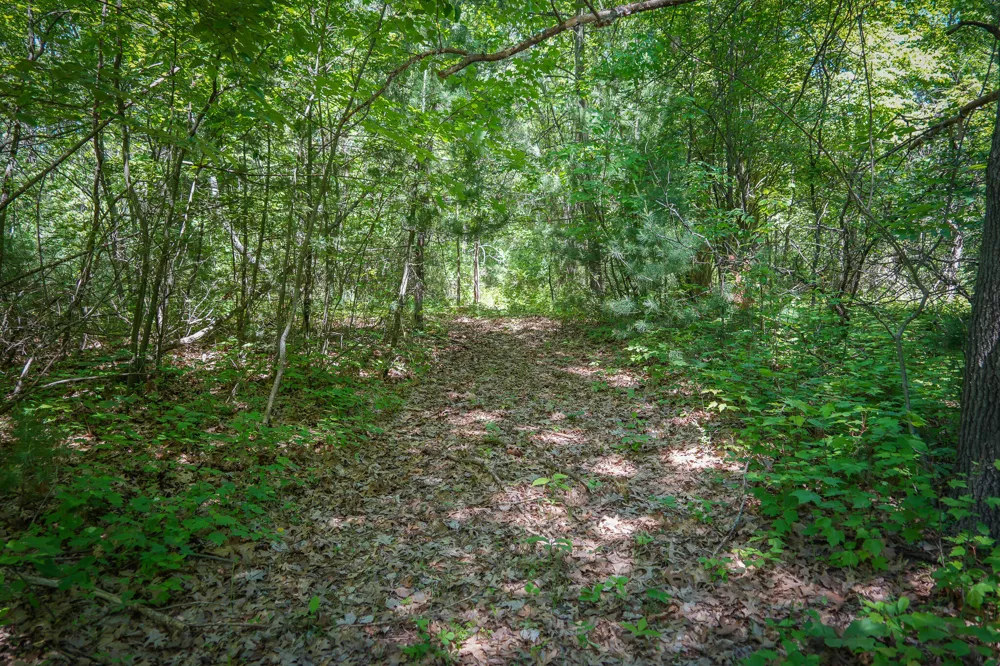 14308 Church Road Winfield Township, MI 49329