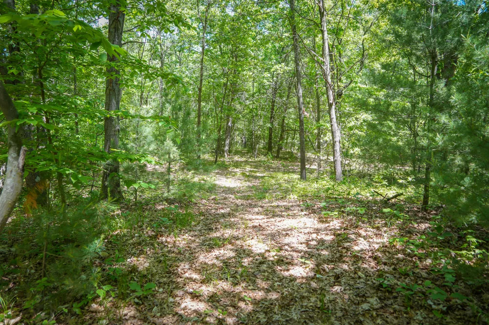 14308 Church Road Winfield Township, MI 49329