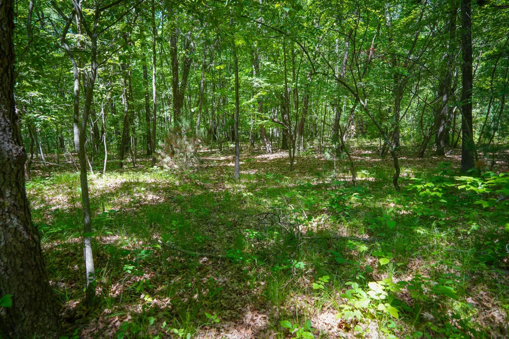 14308 Church Road Winfield Township, MI 49329