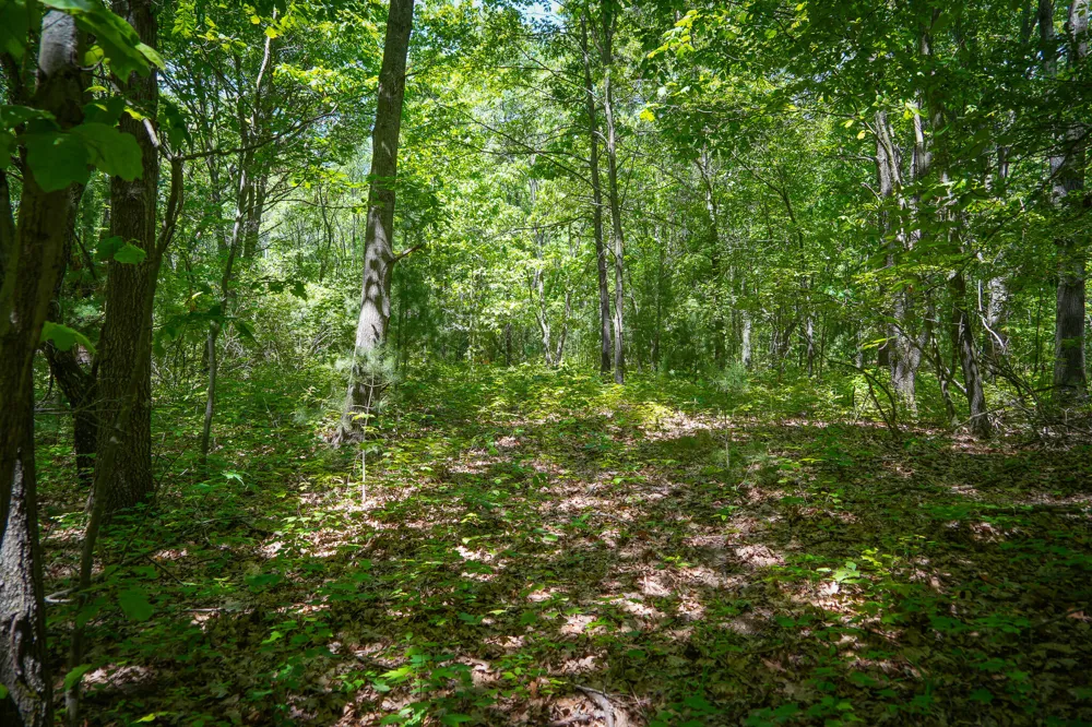 14308 Church Road Winfield Township, MI 49329
