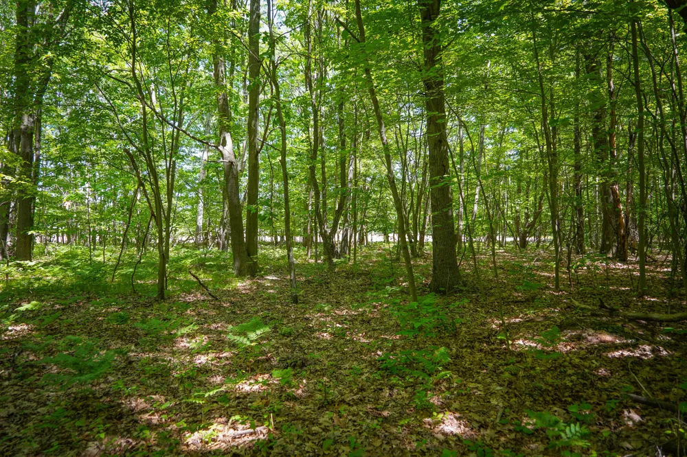 14308 Church Road Winfield Township, MI 49329