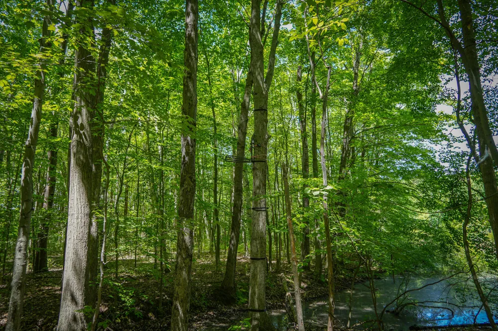 14308 Church Road Winfield Township, MI 49329