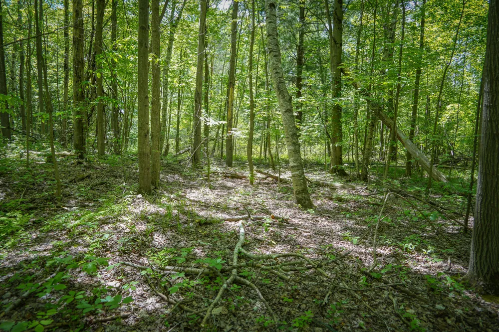 14308 Church Road Winfield Township, MI 49329