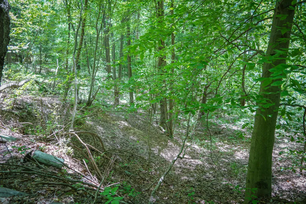 14308 Church Road Winfield Township, MI 49329