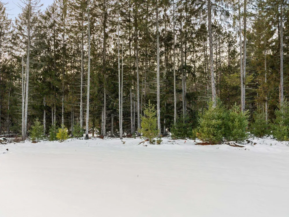 Red Maple Drive Orange Township, MI 49646