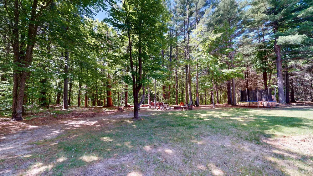 11130 French Court Whitewater Township, MI 49690