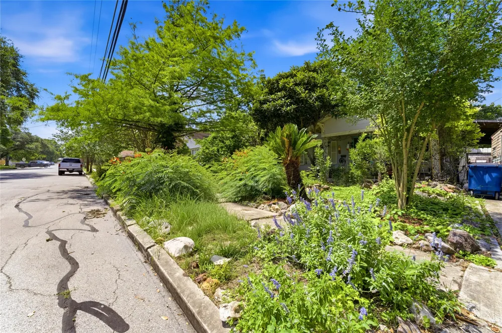 242 S Sycamore Avenue New Braunfels, TX 78130