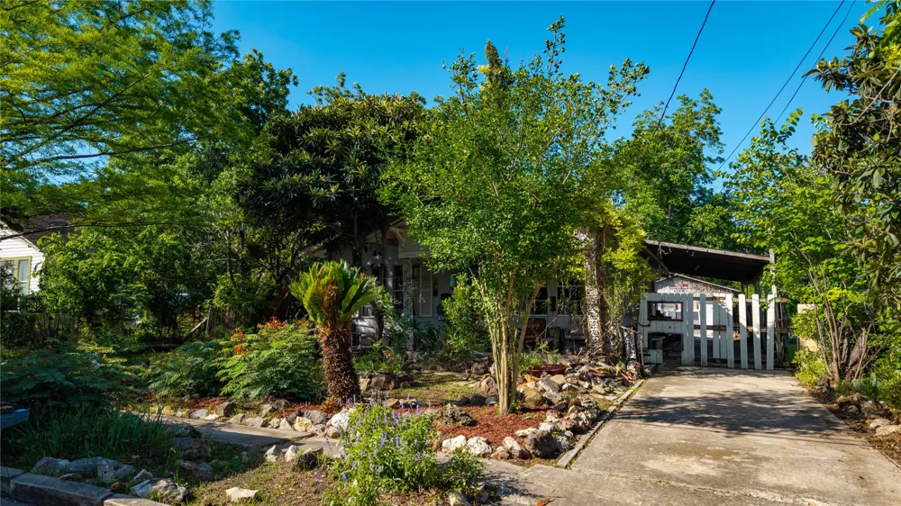 242 S Sycamore Avenue New Braunfels, TX 78130