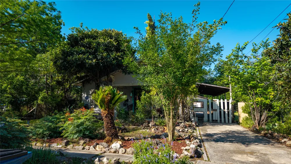 242 S Sycamore Avenue New Braunfels, TX 78130