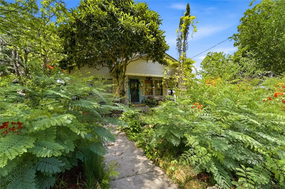242 S Sycamore Avenue New Braunfels, TX 78130