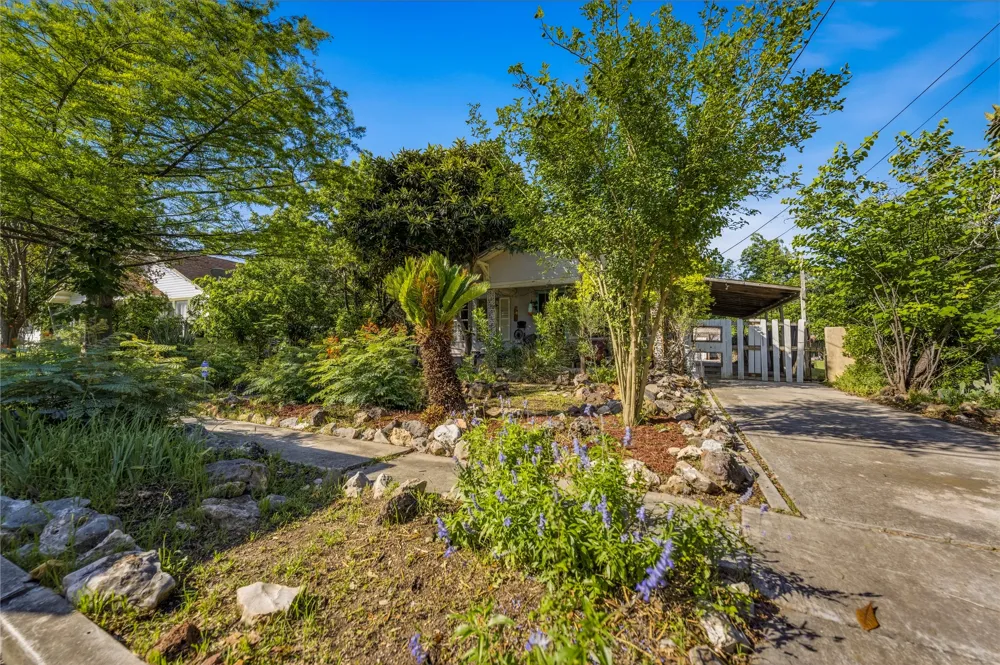 242 S Sycamore Avenue New Braunfels, TX 78130