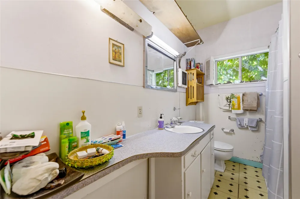 242 S Sycamore Avenue New Braunfels, TX 78130