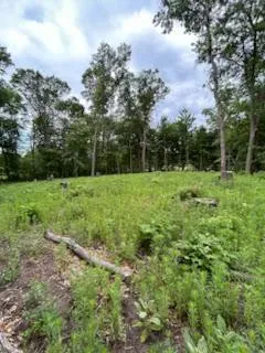 4188 161st Lane NE
