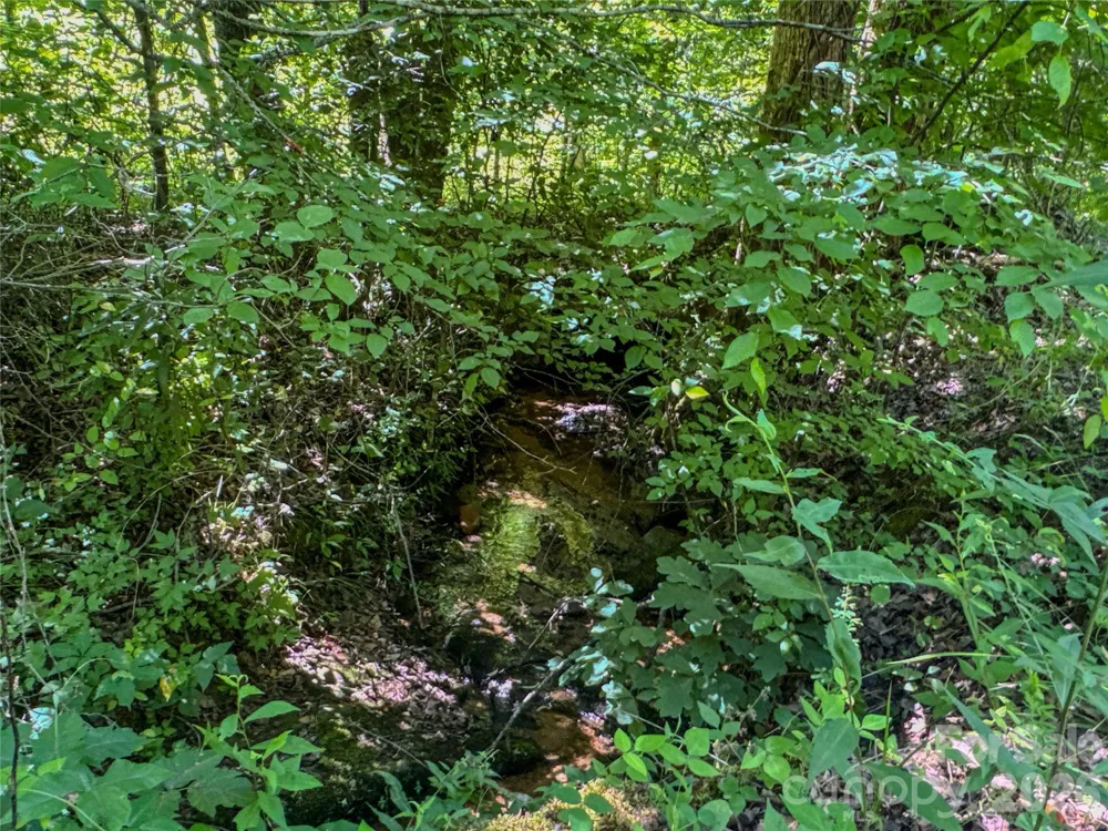 306 Golden Valley Road Casar, NC 28020
