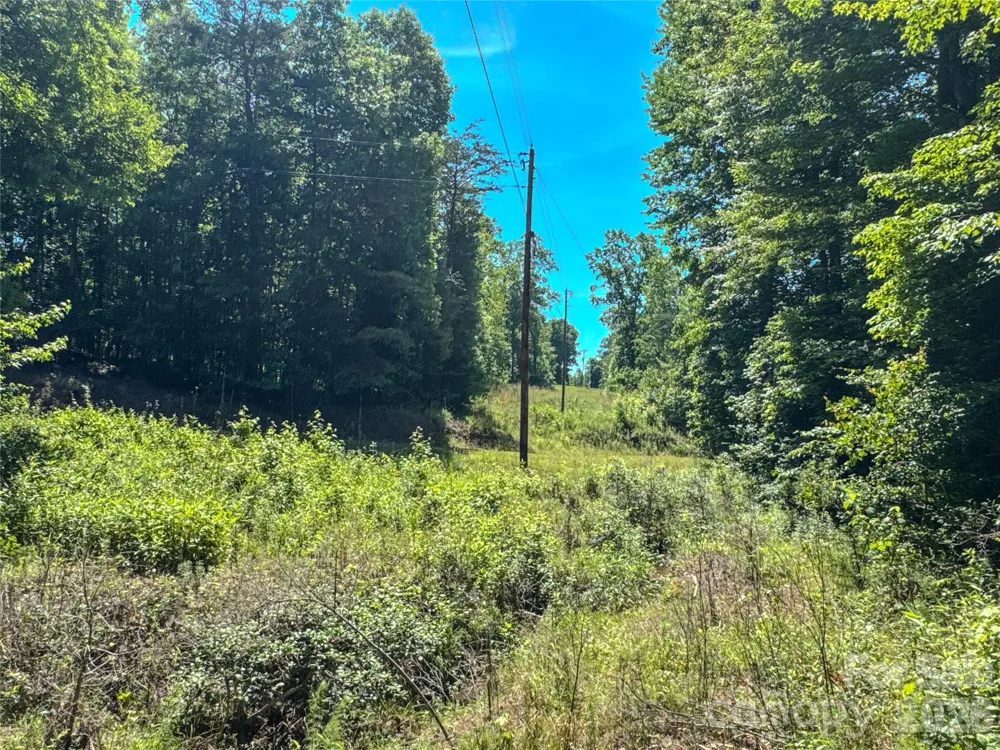 306 Golden Valley Road Casar, NC 28020