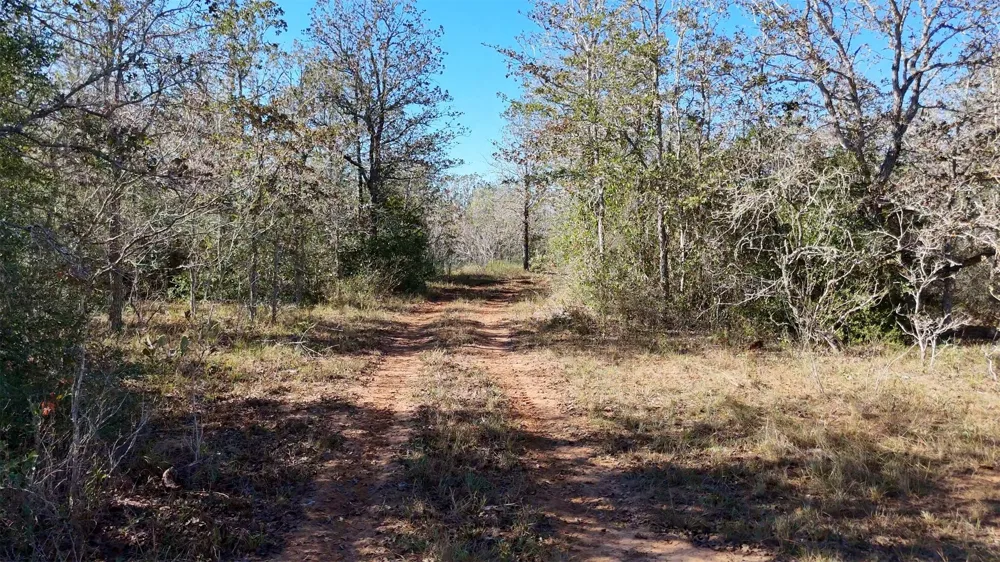 County Road 283 Gonzales, TX 78632