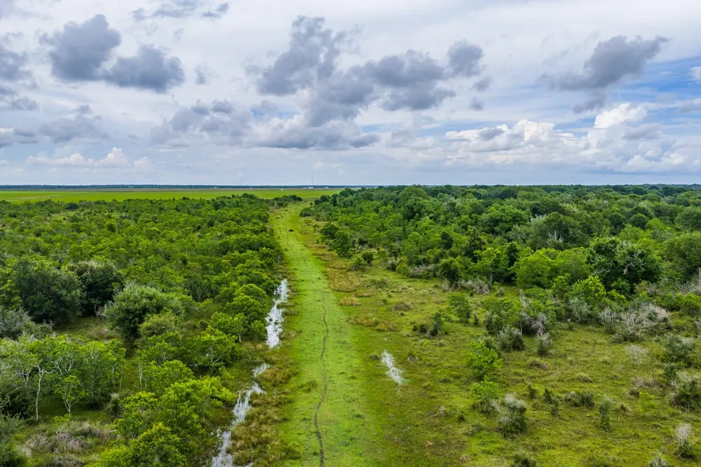 208 Cr 208 Danbury, TX 77534