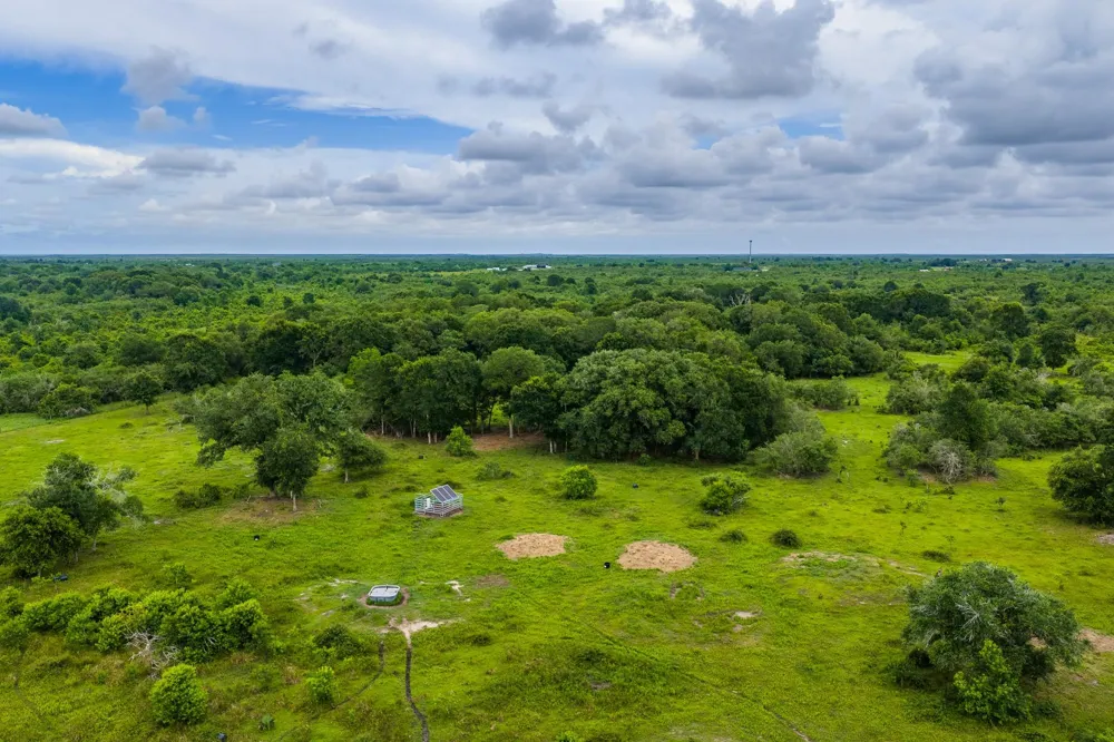 208 Cr 208 Danbury, TX 77534