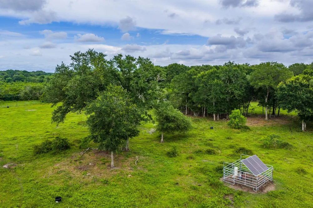 208 Cr 208 Danbury, TX 77534