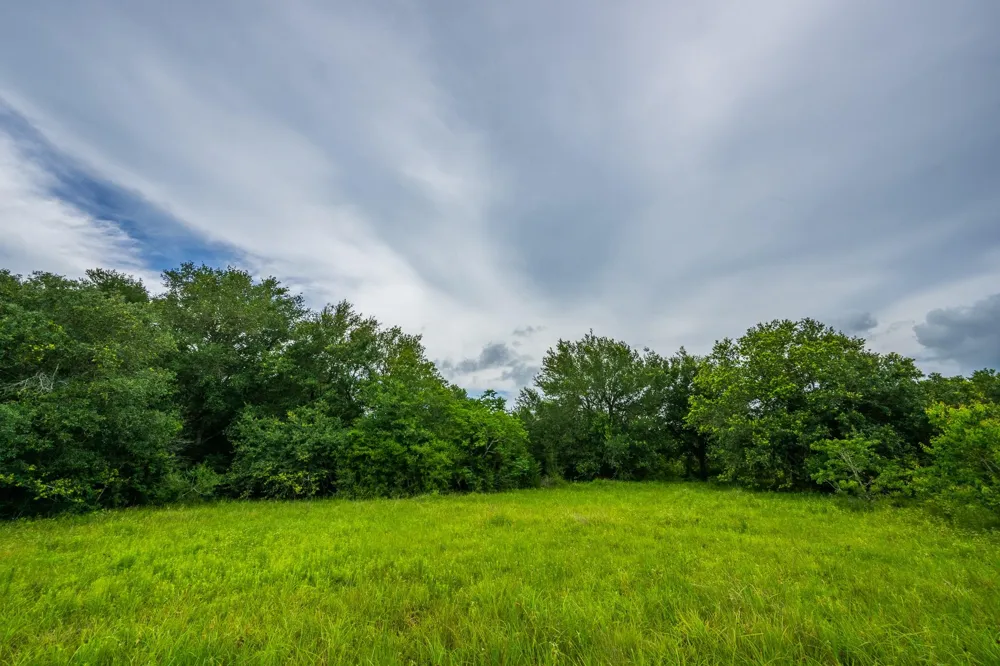 208 Cr 208 Danbury, TX 77534