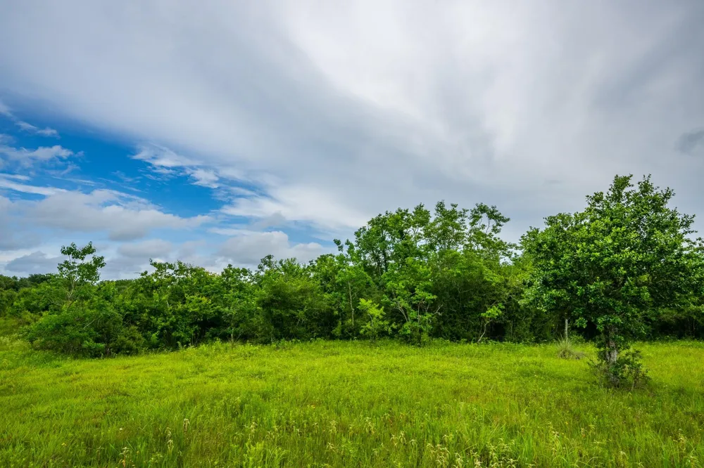 208 Cr 208 Danbury, TX 77534