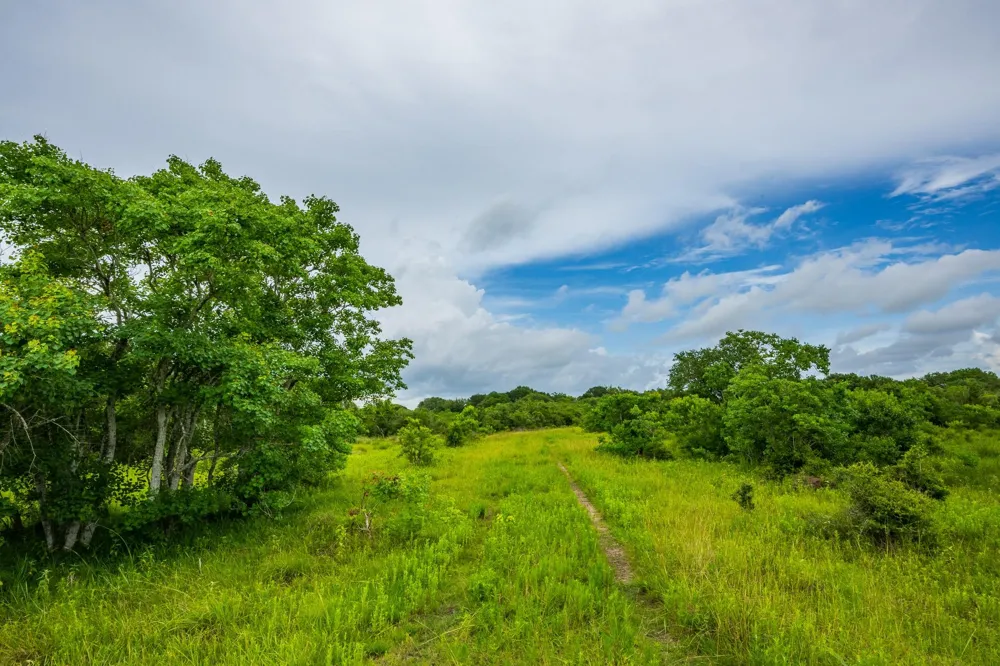 208 Cr 208 Danbury, TX 77534