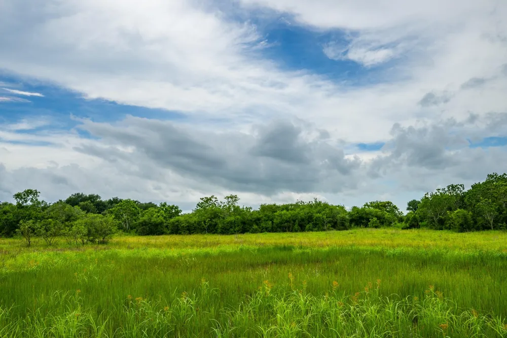 208 Cr 208 Danbury, TX 77534