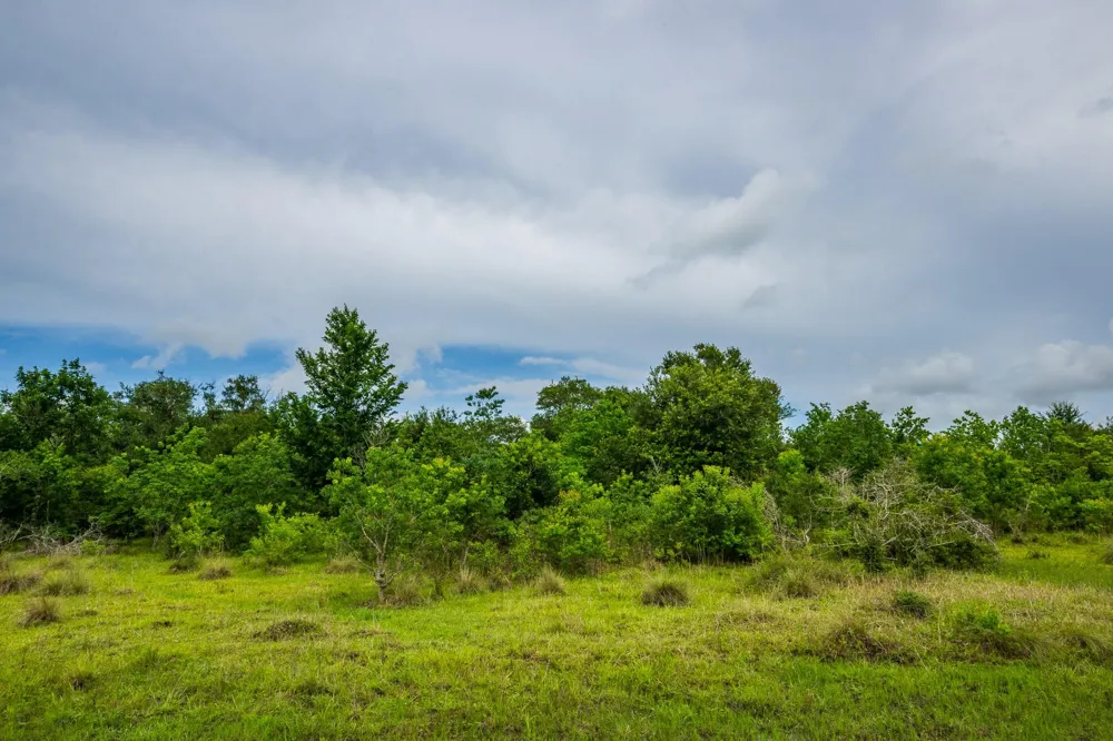 208 Cr 208 Danbury, TX 77534