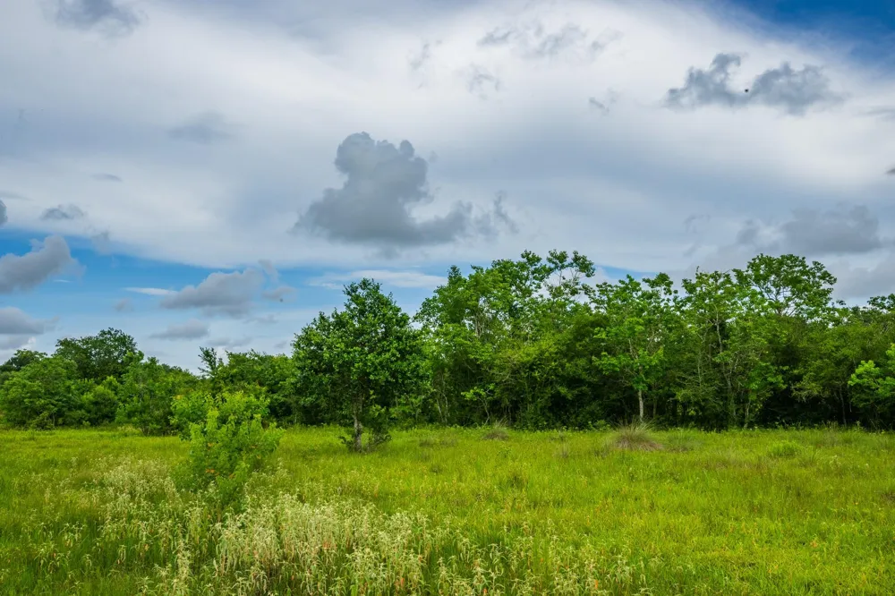 208 Cr 208 Danbury, TX 77534